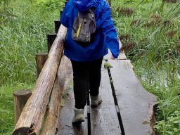 gemert 01